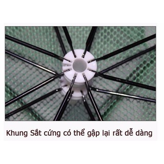 [FREESHIP 20-70K] Lưới bắt cá bát quái