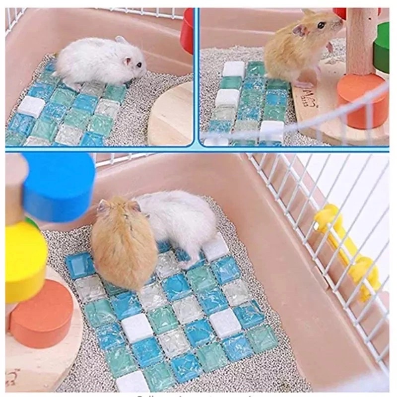 Đá làm mát, tản nhiệt mùa hè cho bé hamster, lang, gunie pig, chó mèo
