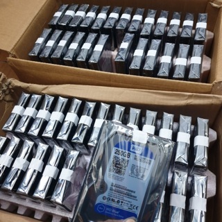 Ổ cứng 250gb mới bảo hành 24 tháng