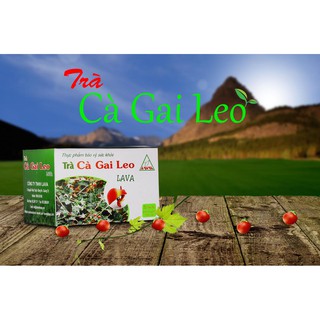 combor 2 hộp TRÀ CÀ GAI LEO LAVA