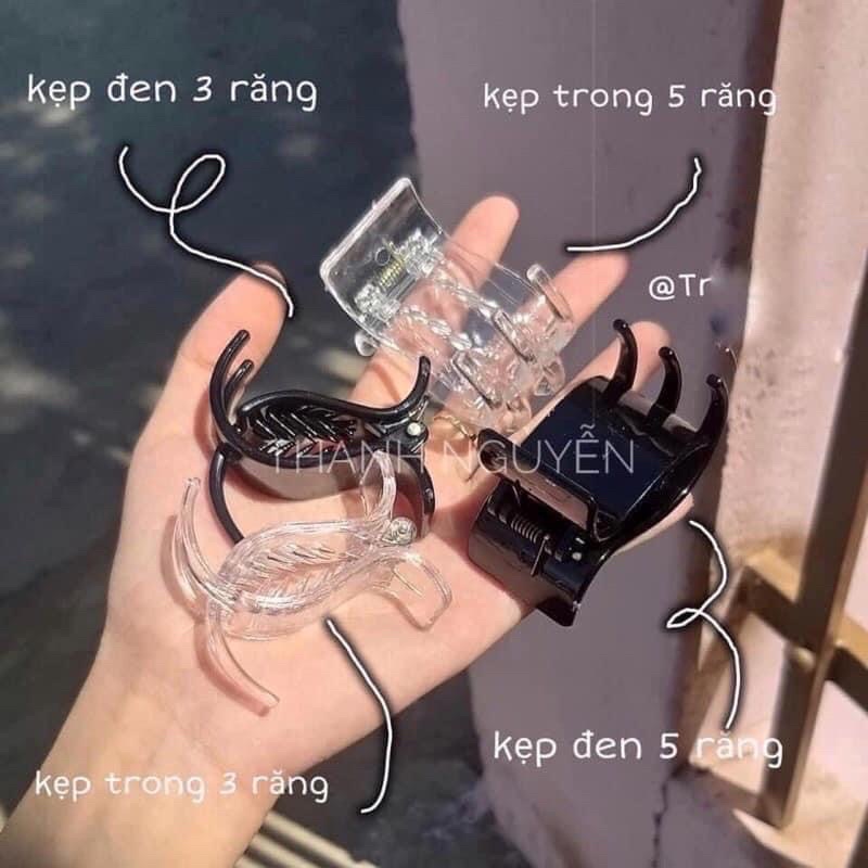 Sét 12 cặp tóc càng cua cho nữ 3 răng và 5 răng