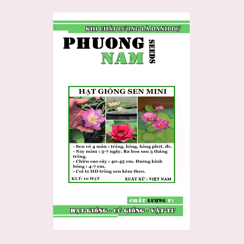 10H - HẠT GIỐNG HOA SEN MINI