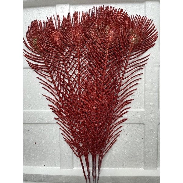 Đuôi công dài trang trí