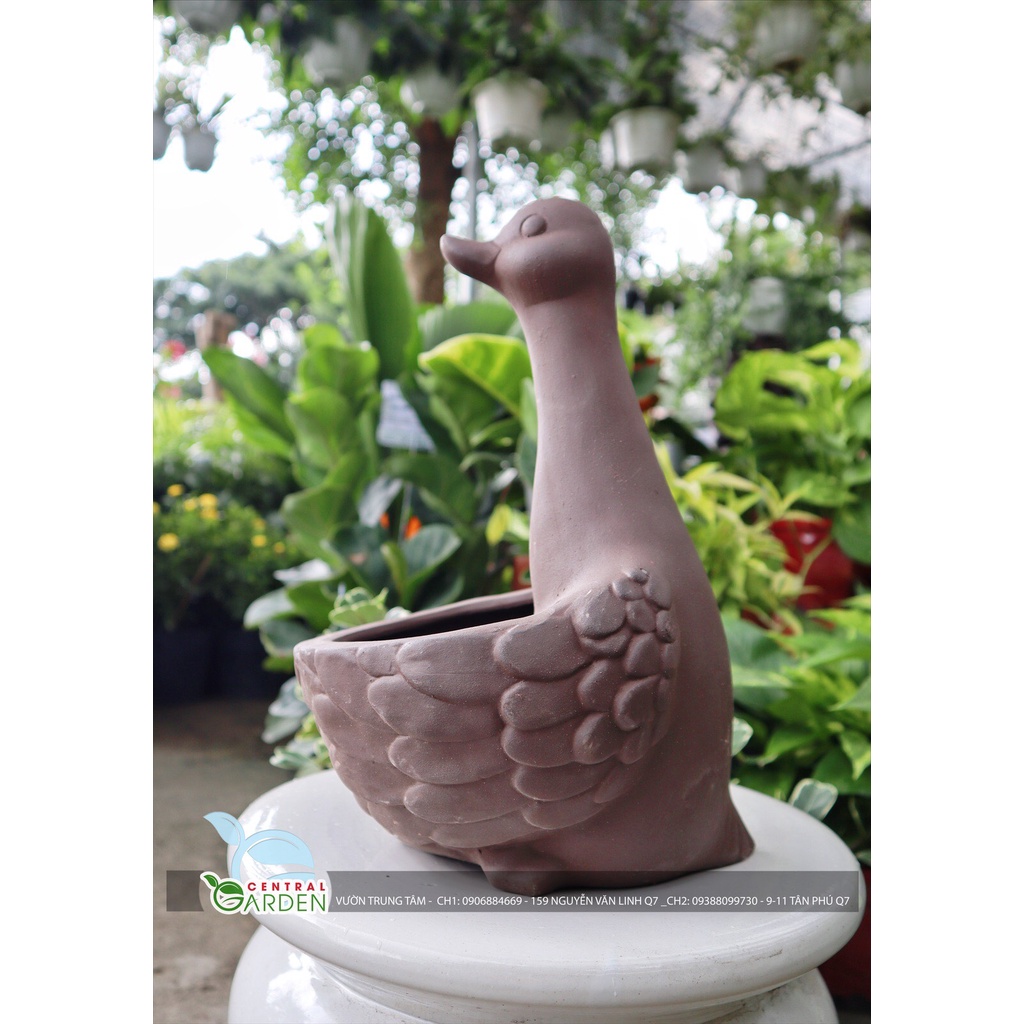 CHẬU ĐẤT NUNG HÌNH THÚ - CHẬU THIÊN NGA