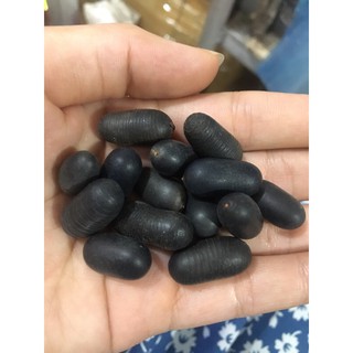 🌿 hạt lạc rừng 500gr 🌿