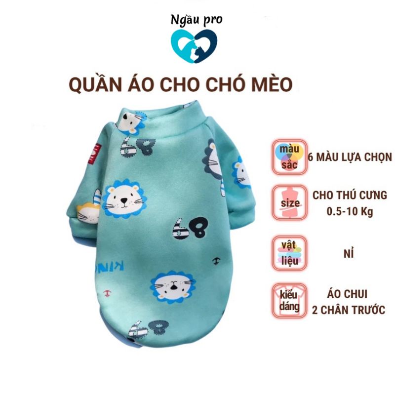 Quần áo cho mèo, Áo cho chó poodle phốc sóc in hoạ tiết hoạt hình nhiều màu sắc, Thời trang quần áo chó mèo con size SM