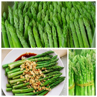 40H - HẠT GIỐNG MĂNG TÂY XANH