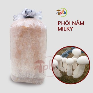 Combo 10 Bịch Phôi Nấm Milky Hoàng Đế🍀PLN🍀Giá Tận Gốc