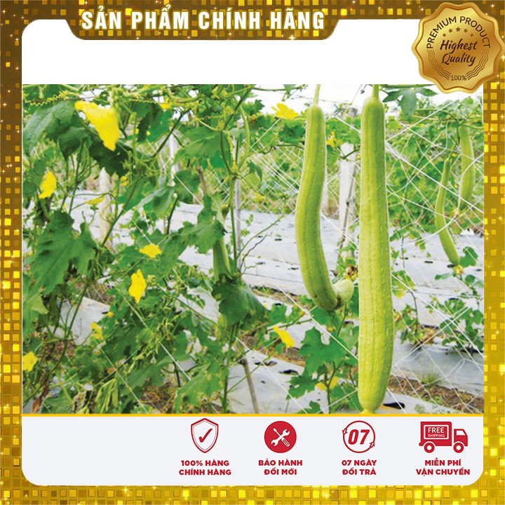 Hạt Giống Mướp Hương 10 Hạt [Bán Sỉ]