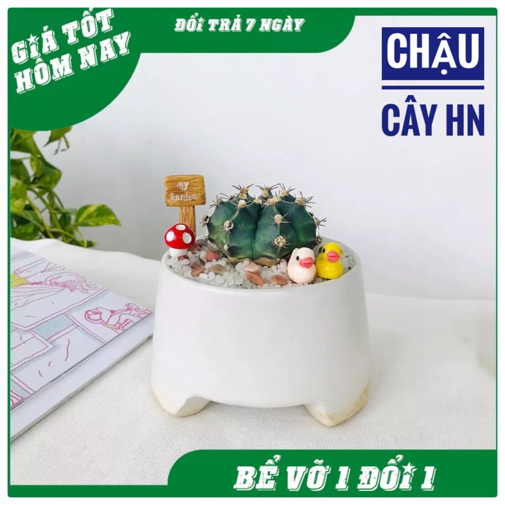 Chậu Sứ Trồng Cây Cảnh Mini Ba Chân Thấp Trồng Sen Đá, Xương Rồng, Cây Cảnh Mini