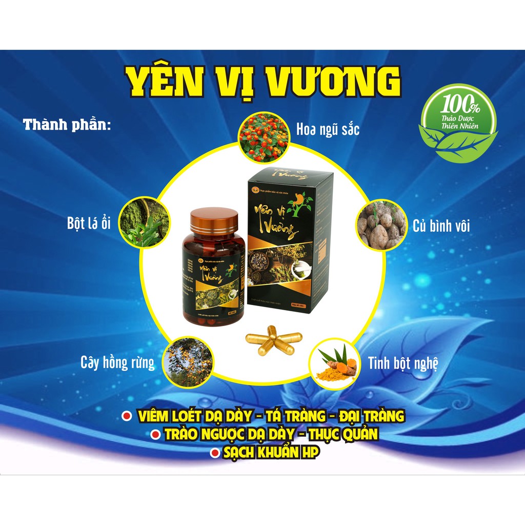 Yên Vị Vương - Hỗ trợ tiêu hóa, viêm loét dạ dày (bao tử), giảm axít dịch vị, bảo vệ niêm mạc dạ dày, đau thượng vị...