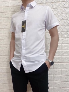 Somi Nam ngắn tay