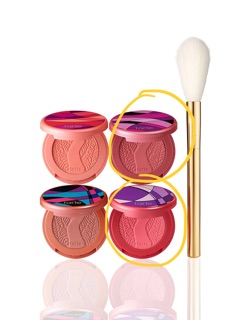 Phấn má hồng tarte