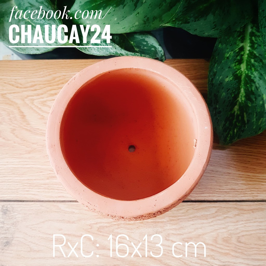 Chậu trồng cây cảnh để bàn, cây mini, cây bonsai, trồng lan