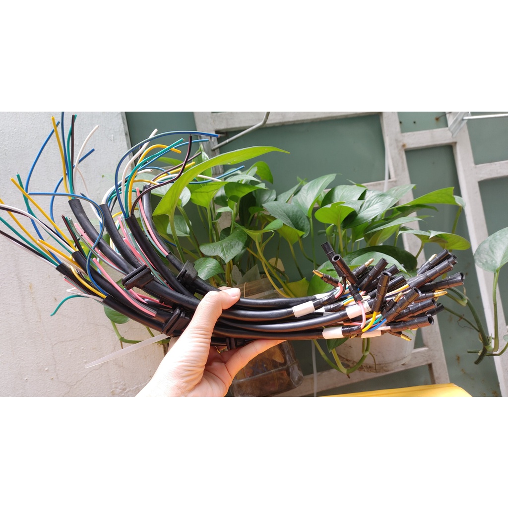 Dây điện mâm lửa dream Thái