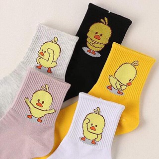 tất nữ vịt( set 5 đôi)