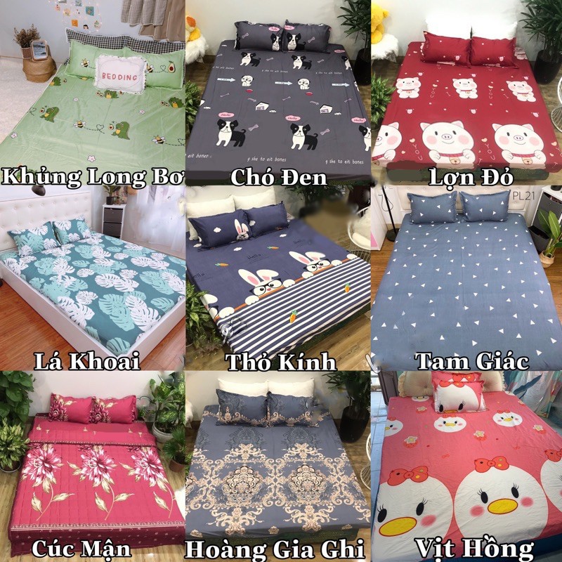 Bộ Ga Gối Giường Cotton Poly đủ màu đủ size ga giường miễn phí bo chun