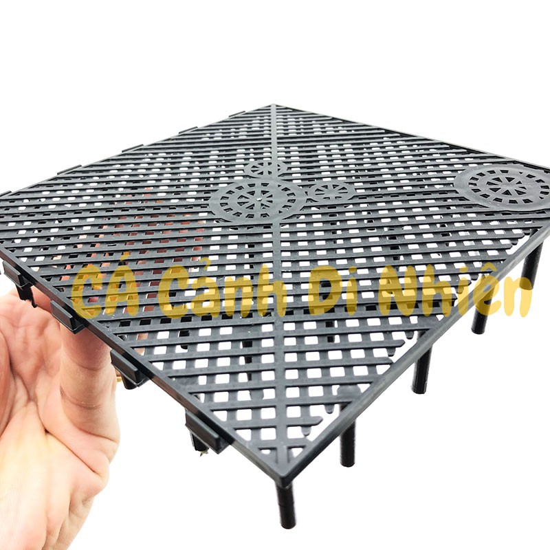 Vỉ lọc đáy vi sinh Đài Loan Tấm lọc và ống Mỏ Vịt Taiwan nâng nền lót cho hồ cá 15x15 cm