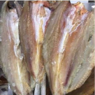 Khô cá mối, Cá mối khô ngon y hình túi 0,5kg