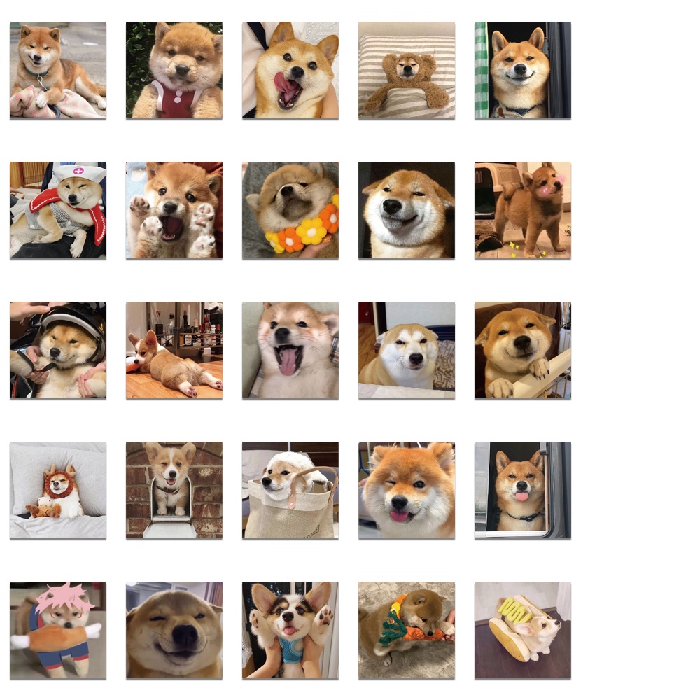 Nhãn Dán Trang Trí Hình Chú Chó Shiba Inu Akita Dễ Thương