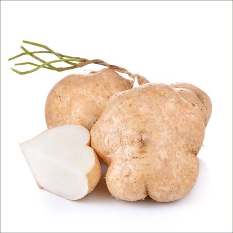 Hạt giống củ đậu , đóng gói 5gr