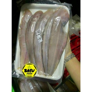 CÁ LƯỠI TRÂU 1 NẮNG