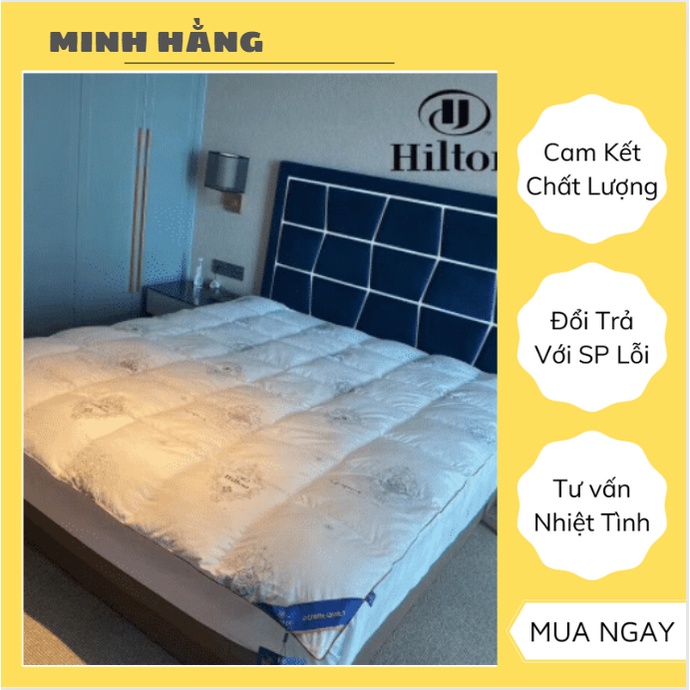 🎗️🤔Ruột chăn bông lông vũ NHÂN TẠO Hilton siêu ấm/mỏng/nhẹ 🎗️HÀNG NHẬP KHẨU nguyên chiếc🎗️