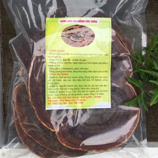 Nấm linh chi rừng
