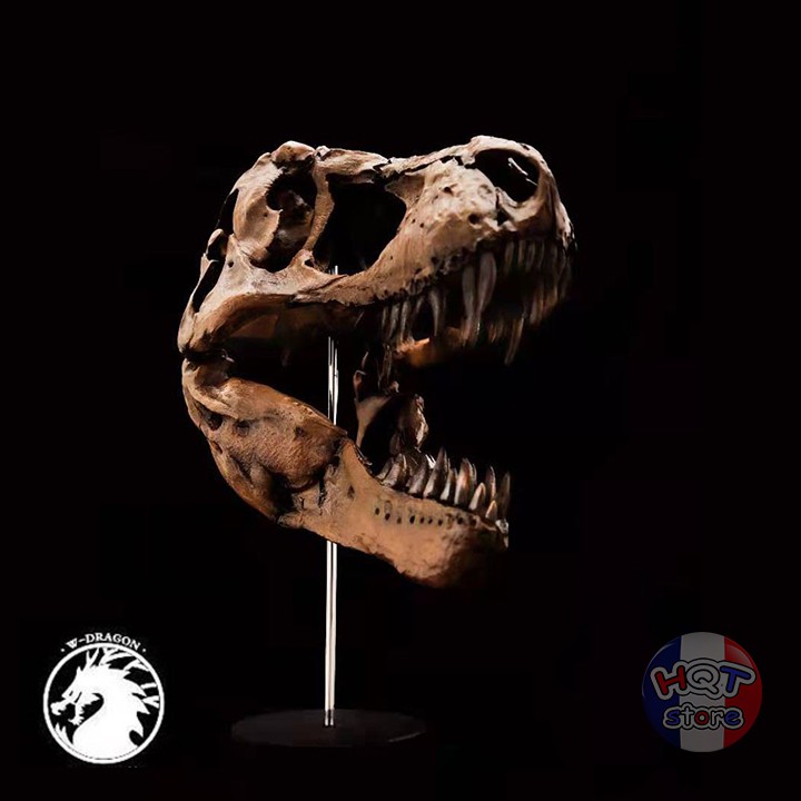 Mô hình xương hóa thạch đầu khủng long T-Rex W-Dragon tỉ lệ 1/15