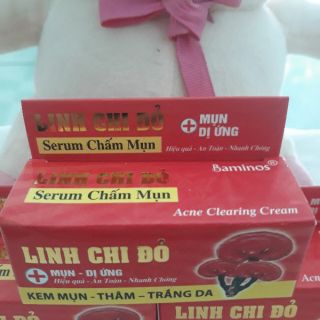 Sirum chấm mun linh chi đỏ