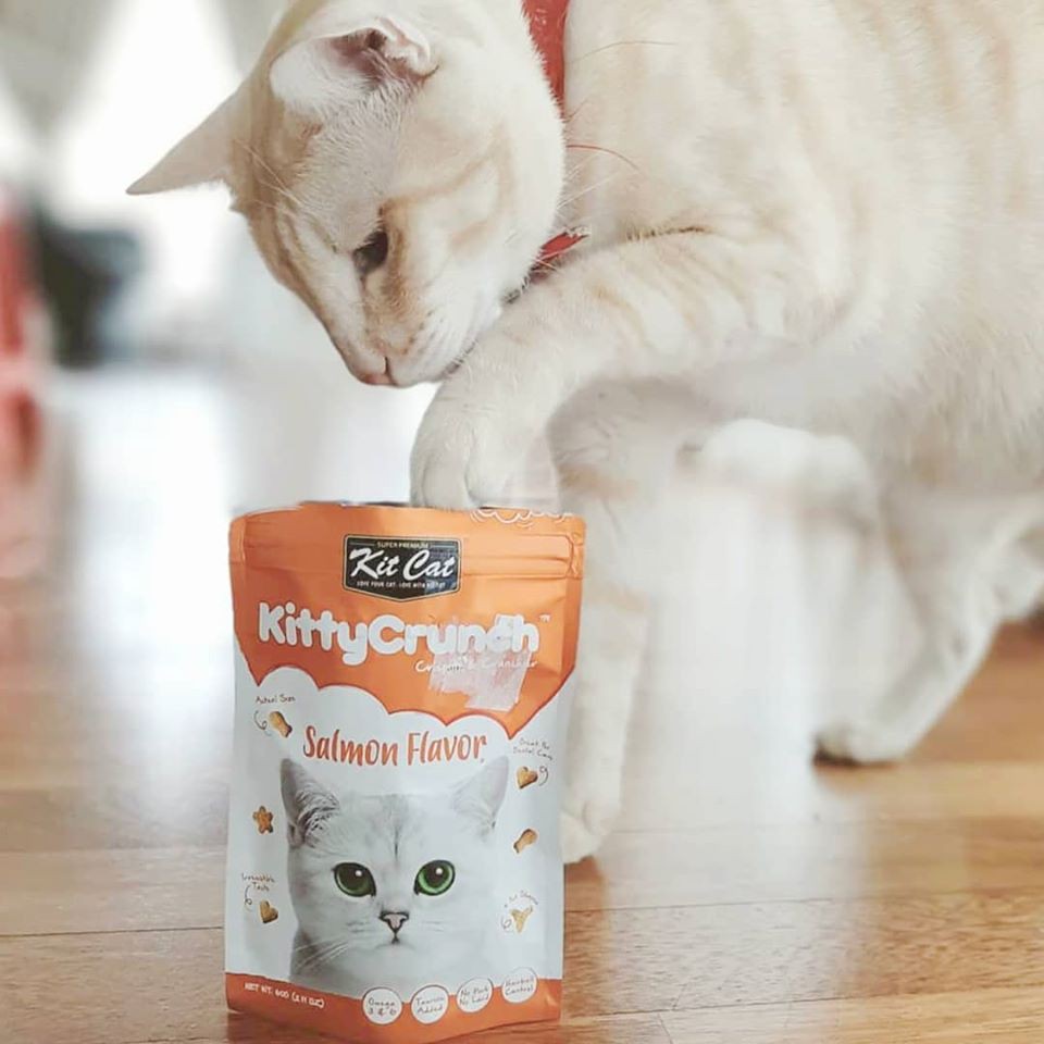 Bánh thưởng cho mèo Kit Cat Kitty Crunch 60g