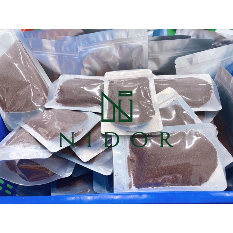 100GR Ngũ hoa hạt nguyên chất Organic (hạt ngũ hoa, hạt đình lịch) - Handmade