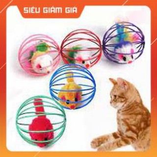 Đồ cho chơi mèo - Bóng lồng chuột