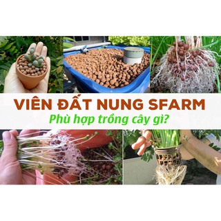 Sỏi nhẹ (Đất nung) trồng cây 3size -2kg