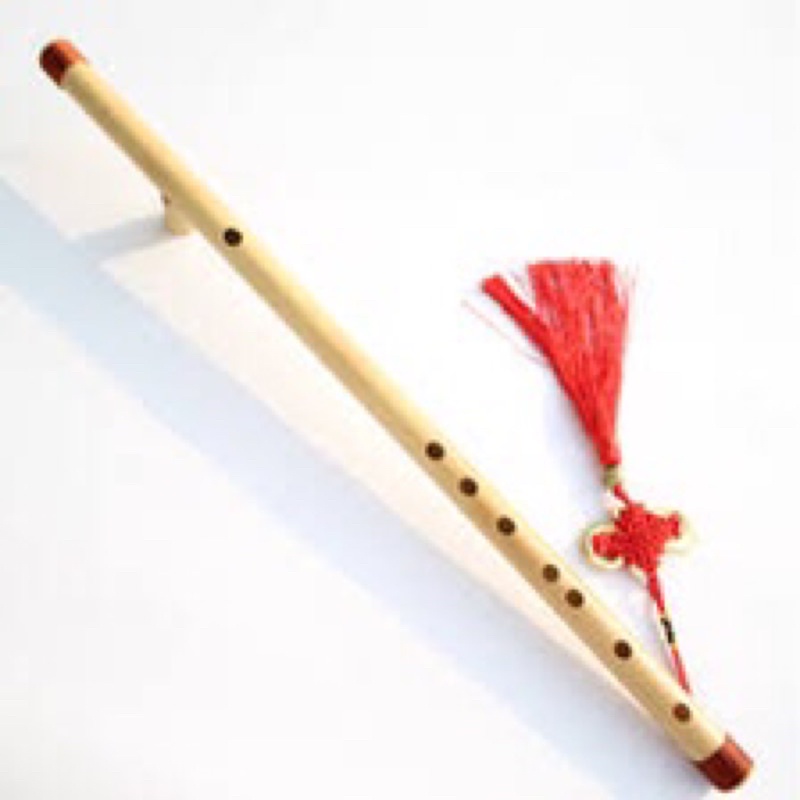 sáo trúc cho nam Vs2