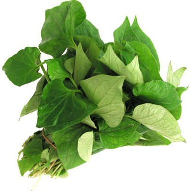 Bột diếp cá nguyên chất