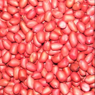 1kg lạc nhân đỏ Hải Hậu có sẵn. Trồng tại địa phương