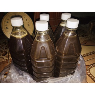 1 LÍT MẬT ONG HOA CÀ PHÊ
