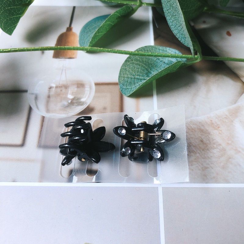 kẹp tóc MÁI càng cua nữ/12 kẹp