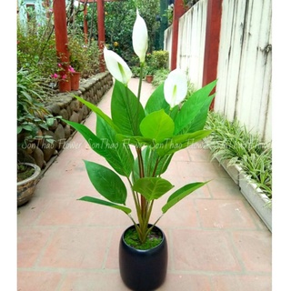 Cây giả lan ý cao 85cm trang trí nhà cửa hoa giả