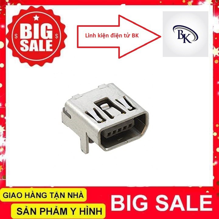 Cổng Mini USB Cái