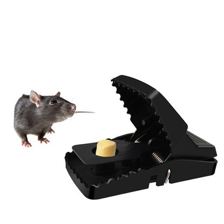 [ HỦY DIỆT ] Bẫy chuột thông minh bằng nhựa cứng giúp gia đình bạn không còn bóng dáng chuột trong nhà
