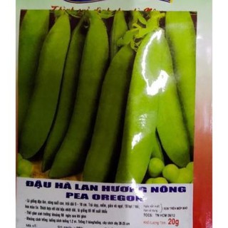 HẠT ĐẬU HÀ LAN - GÓI 20 GRAM
