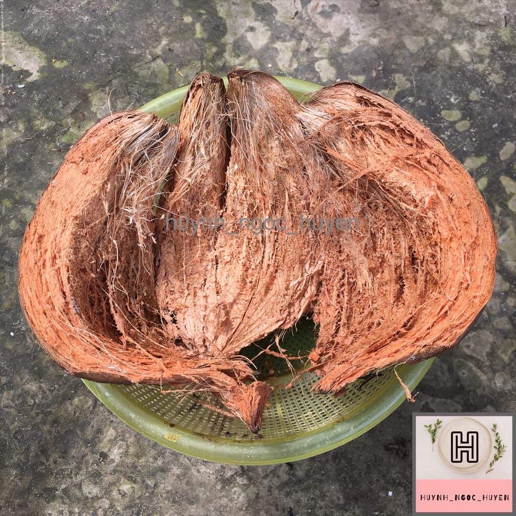 Vỏ dừa khô
