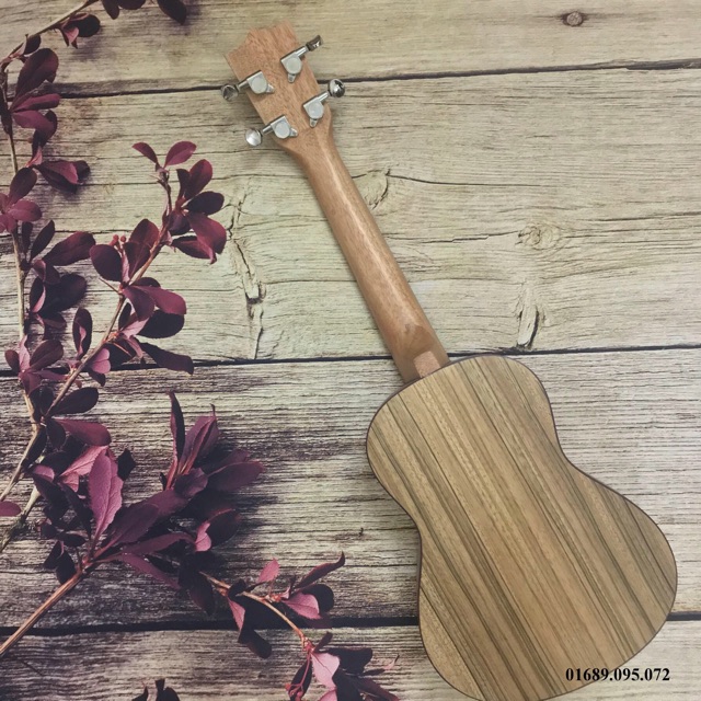 ( MUA 1 TẶNG 4 )ĐÀN UKULELE CONCERT SỌC VẰN