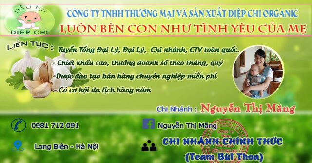 Dầu Tỏi Diệp Chi Gold