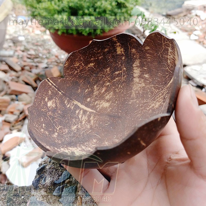 Bát dừa l Đĩa dừa bông mai