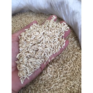Nếp lứt sáp ngỗng