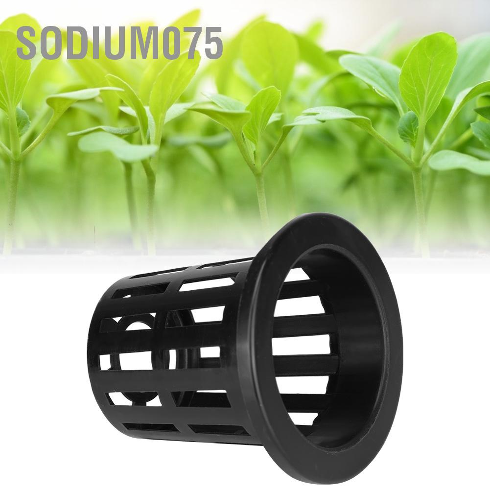 Hàng Hot 10 cái / bộ Cốc nhựa thủy canh thoáng khí cho vườn trồng ban công Hàng giao ngaySodium075