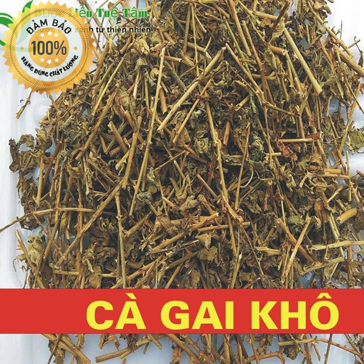 Cây cà gai leo - đạt chuẩn GACP - WHO